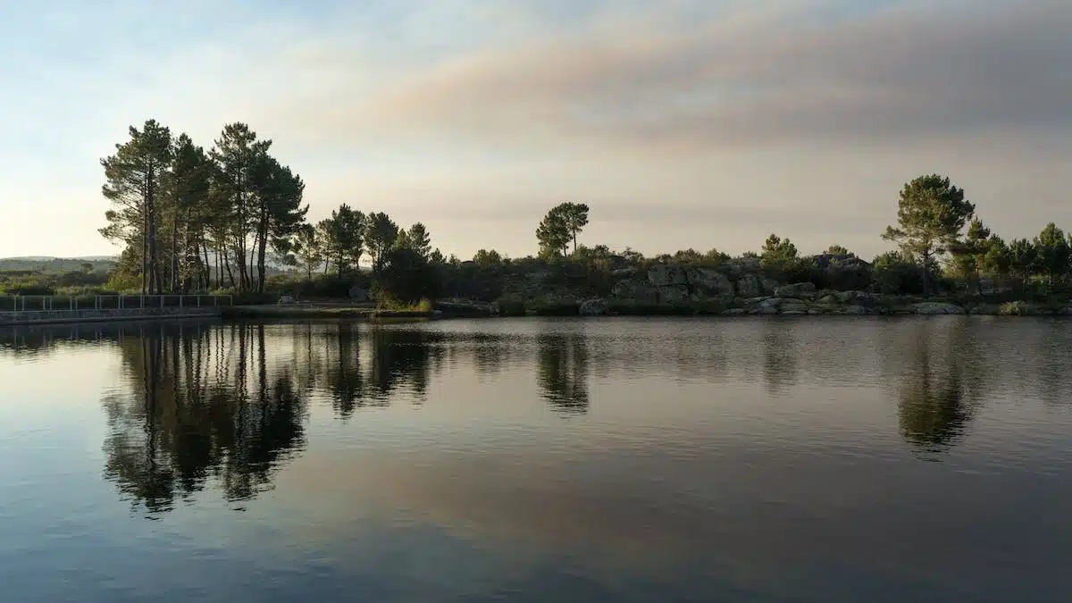 bretagne  nature