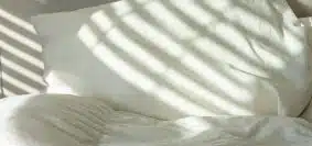 Pourquoi faire appel à un professionnel pour l'éradication des punaises de lit à Valence ?